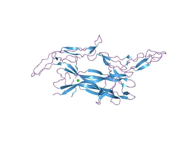 Human Nerve Growth Factor (beta polypeptide) NGF1178H